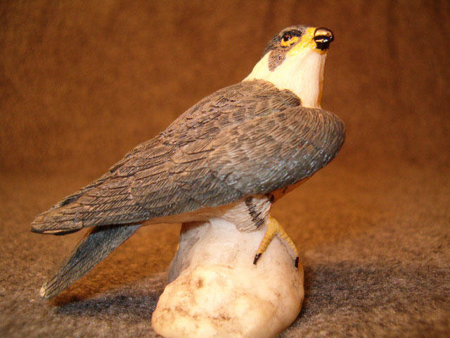 World's fastest bird: perigrine falcon,257-mph fully tucked-in in freefall desent.The bird's disruption to the surrounding air is virtually eliminated by the teardrop taper of the falcon's streamlined body.