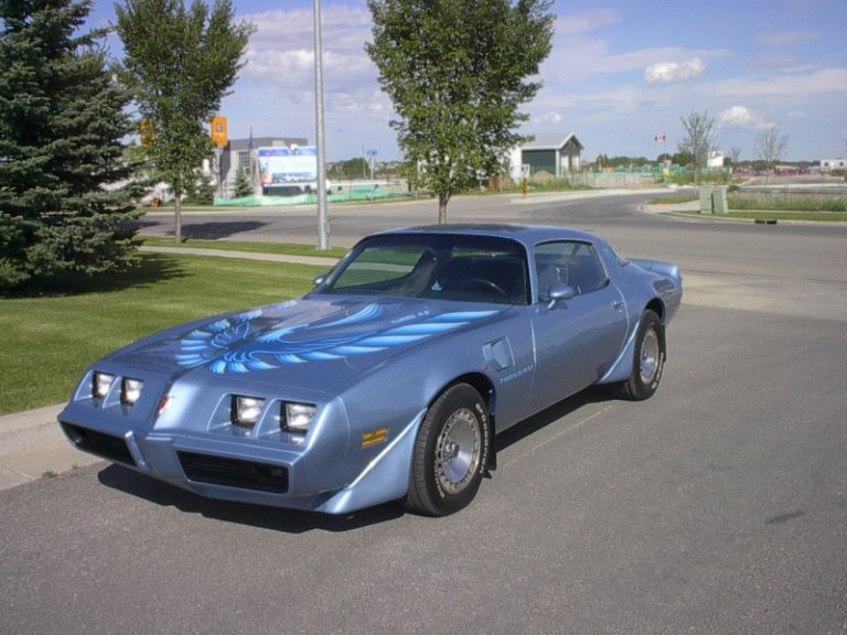 1981 Pontiac Trans Am.  Picture taken from :
http://en.wikipedia.org/wiki/File:1981_Pontiac_Trans_Am_1.jpg