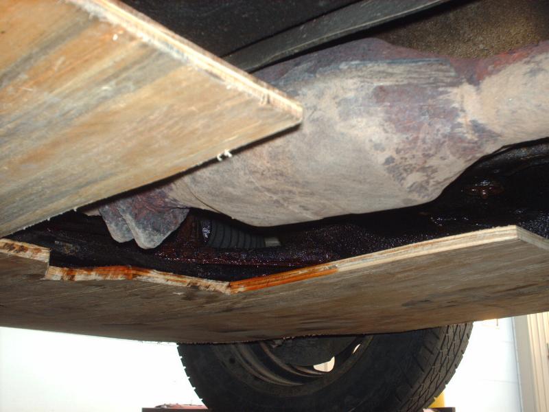 pic 6
Better safe than sorry, kitty-CAT.  Leaking power steering fluid, wood, and a hot catalytic converter,...