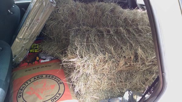 hay feed side