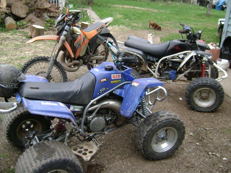 KTM 300, Neil's stock engined Blaster and my KTM powered Blaster, and the little red wiener dog.