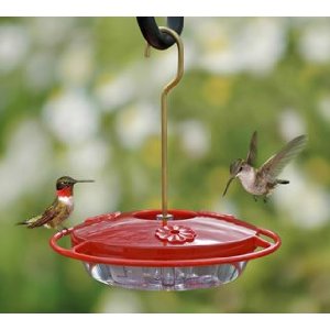 Hummingbird feeder